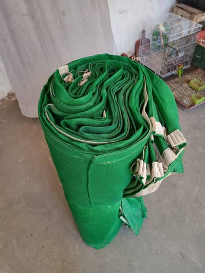 Green Tarpal
