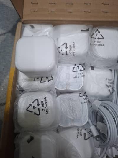 Apple 100% original charger