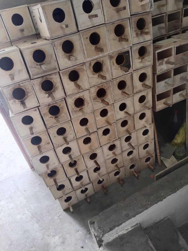 Finch Boxes New 0