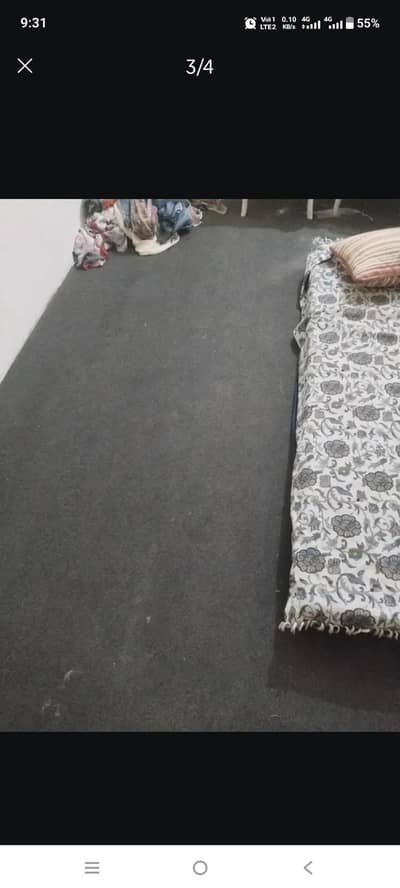 Grey Carpet 12x14
