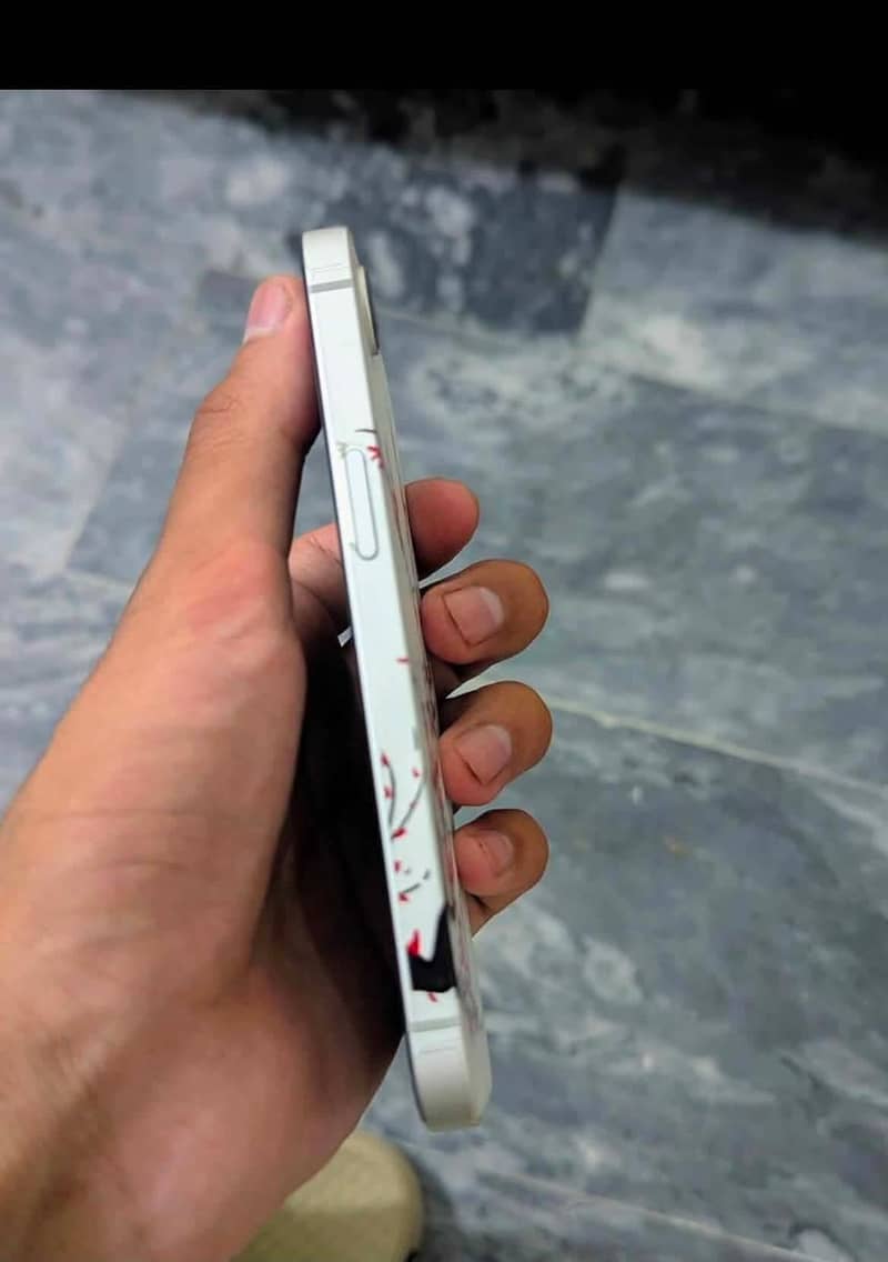 iPhone 16e 4