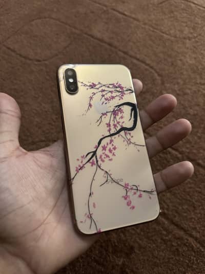 iPhone XS dual pta approved