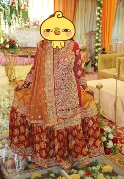 Chiffon | Banarse | Red  | Orange | Rust Color