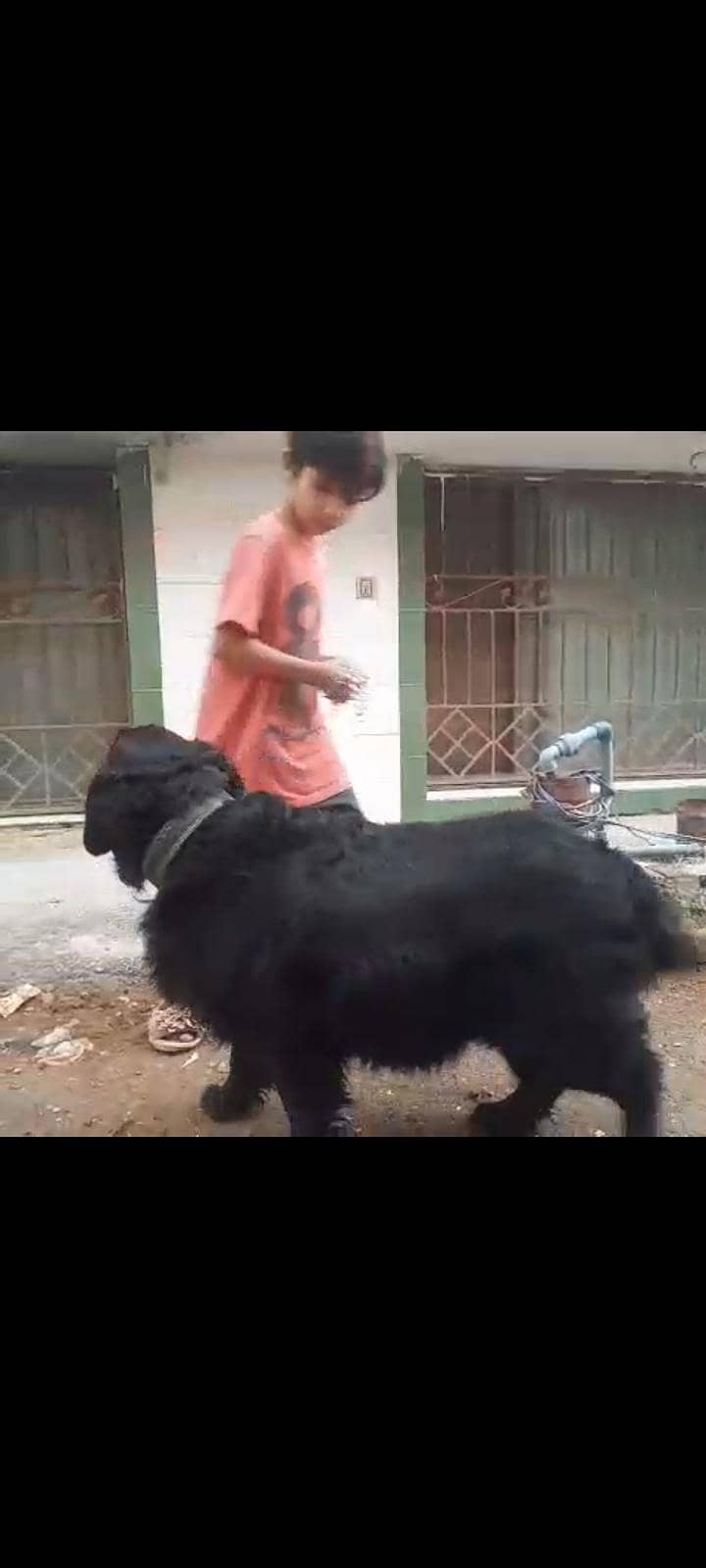 labra 1