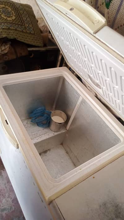 wavess D freezer