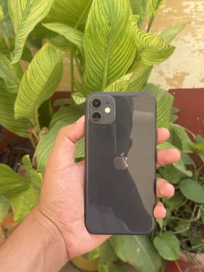 Apple iPhone 11 non pta 64 gb