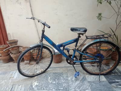 This is a CHAMPION  bicycle