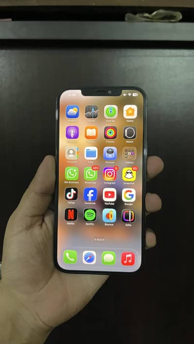 Apple iPhone 12 Pro Max