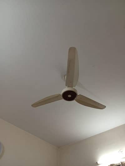 copper fan