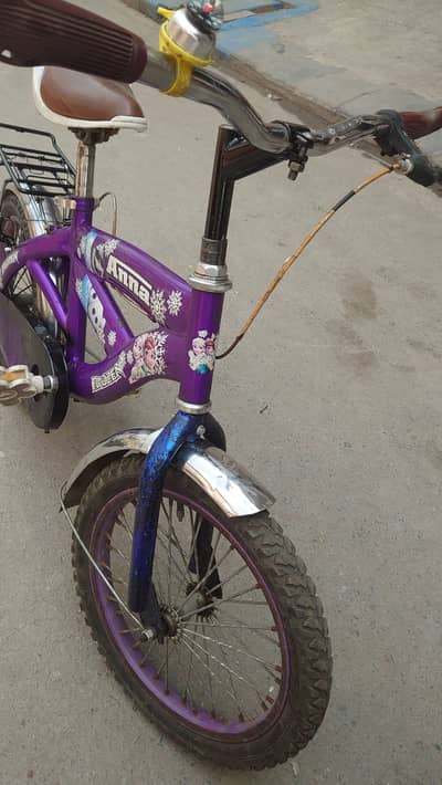 Bacha cycle