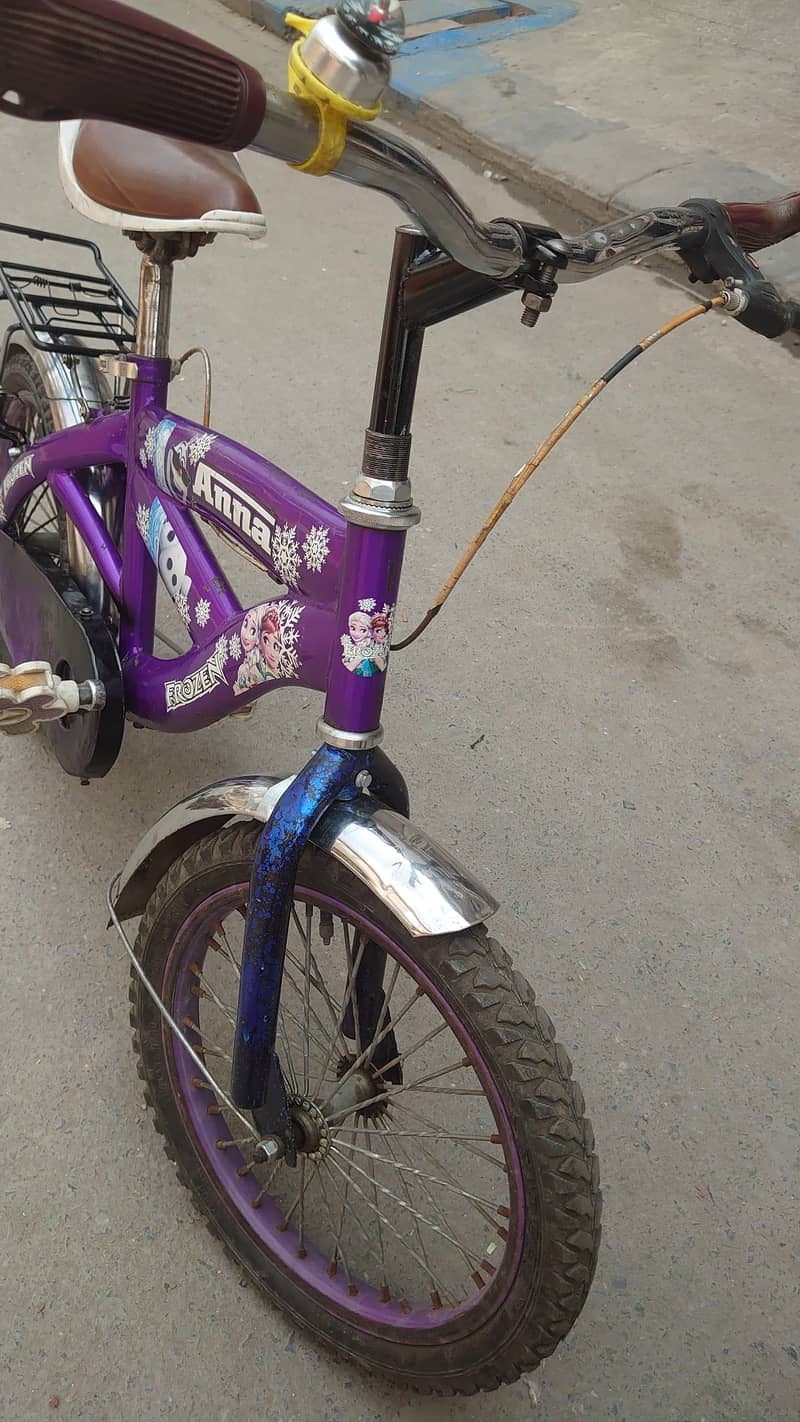 Bacha cycle 0