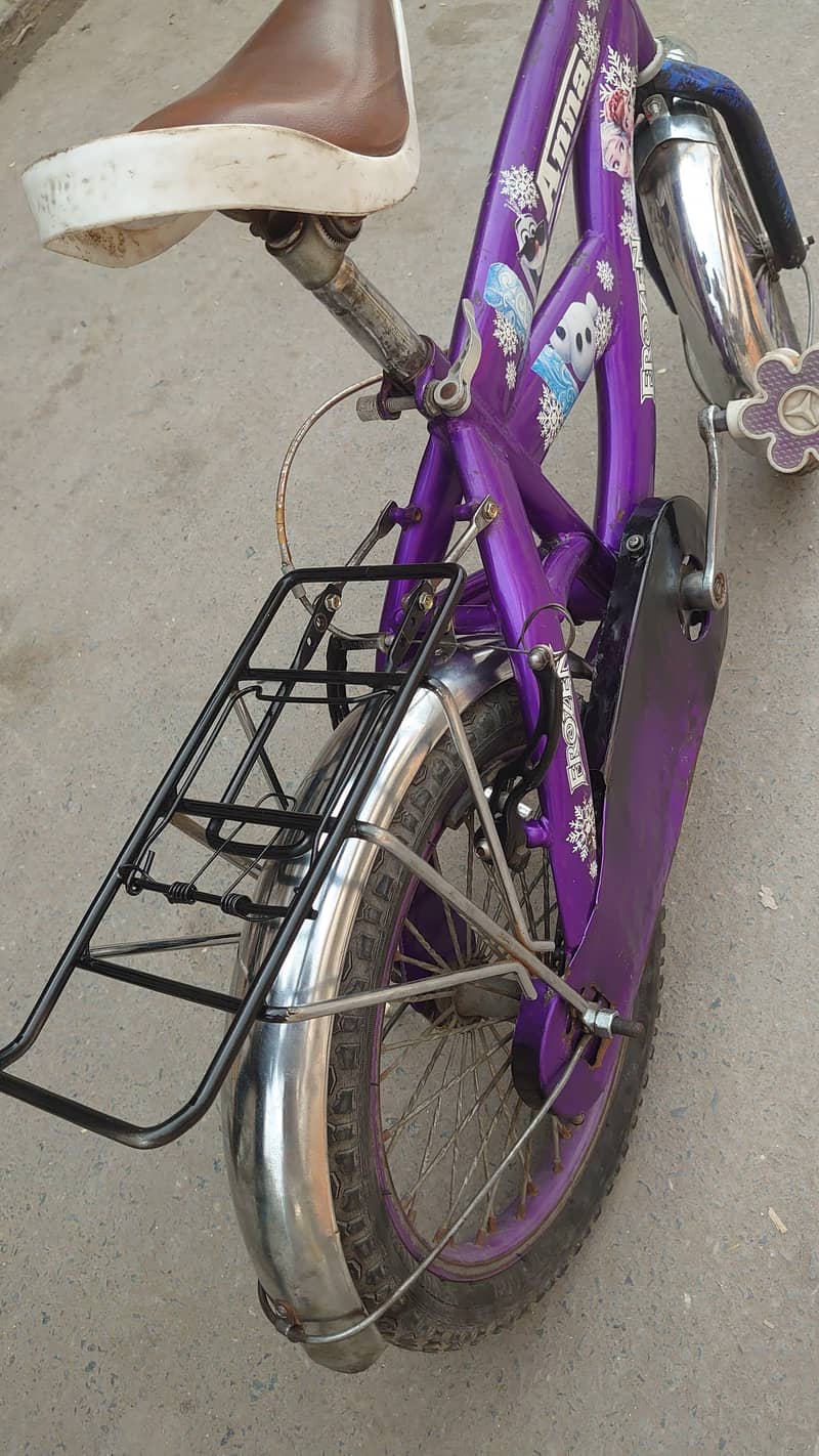 Bacha cycle 1