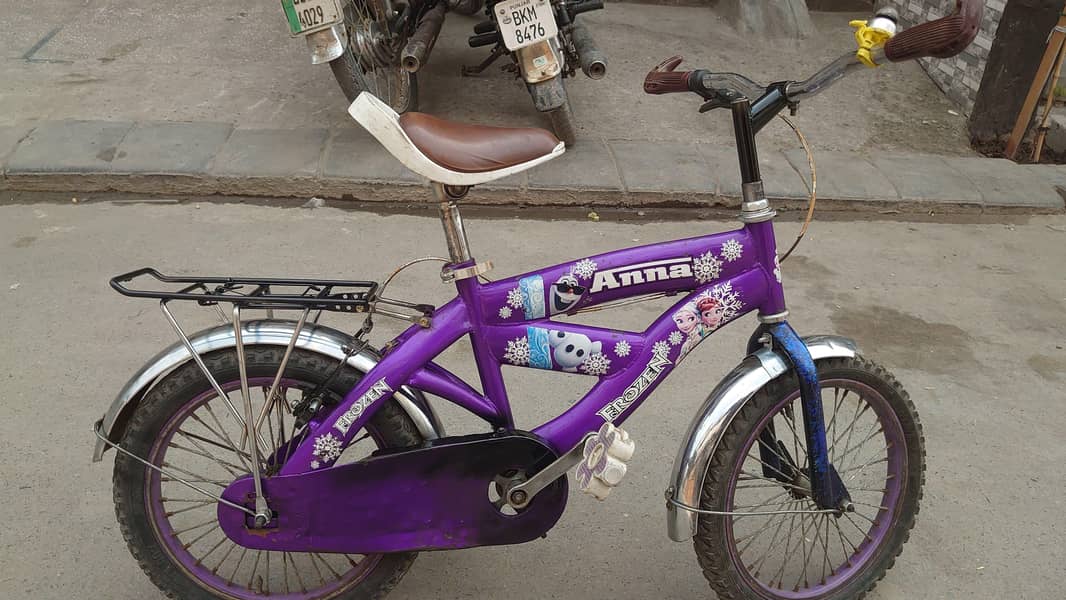 Bacha cycle 2