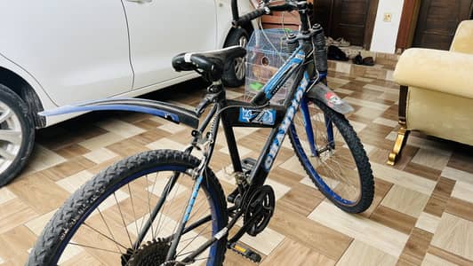 Gear bicycle