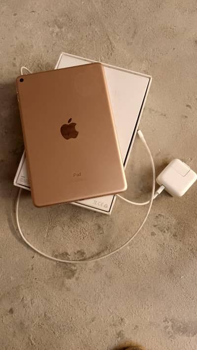 Ipad Mini 5 10/10 Condition With Box