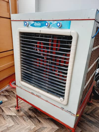 03029238408  34 by 34, full size cooler for big family