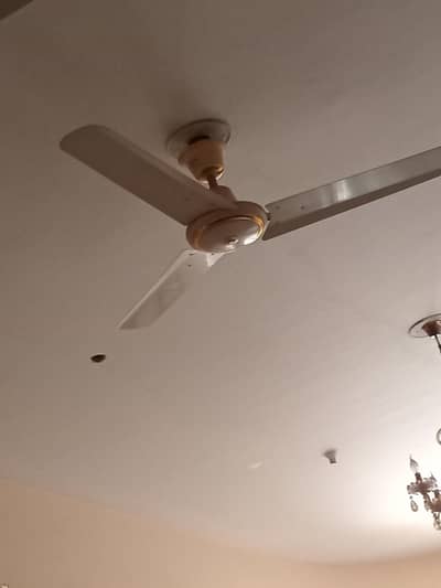 Pak fan 100 percent copper only serious buyer contact