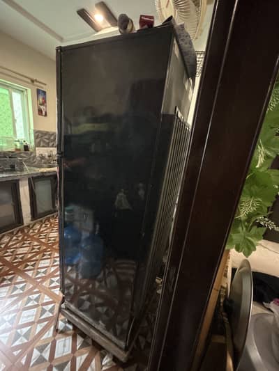 Pel large size fridge