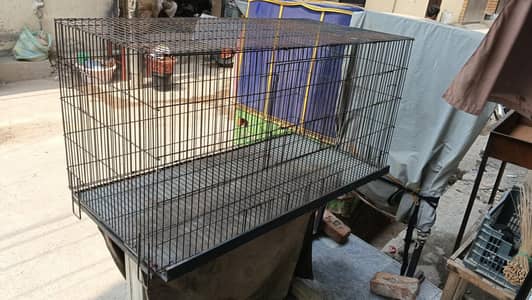 raw cage