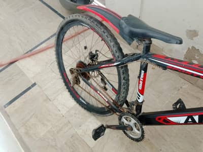 Apple large bicycle
