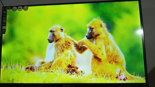 LED Smart TV (Elekta) Good Condition (Metal Body) 32 Inch