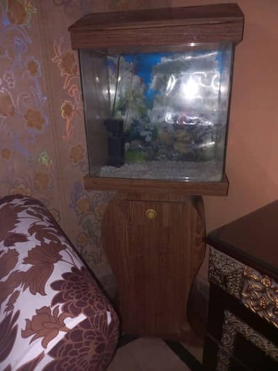 Fish Aquarium