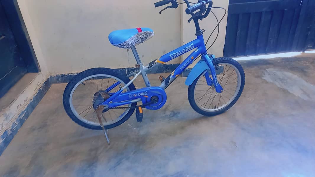 Splading imported Kid Cycle 0