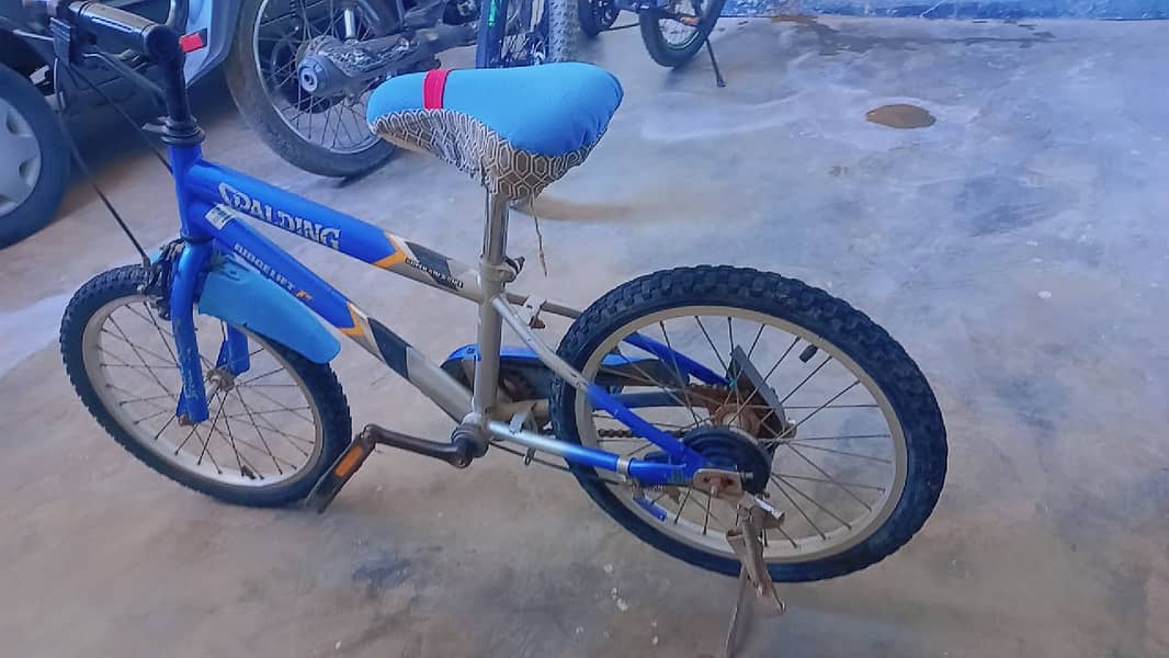 Splading imported Kid Cycle 2