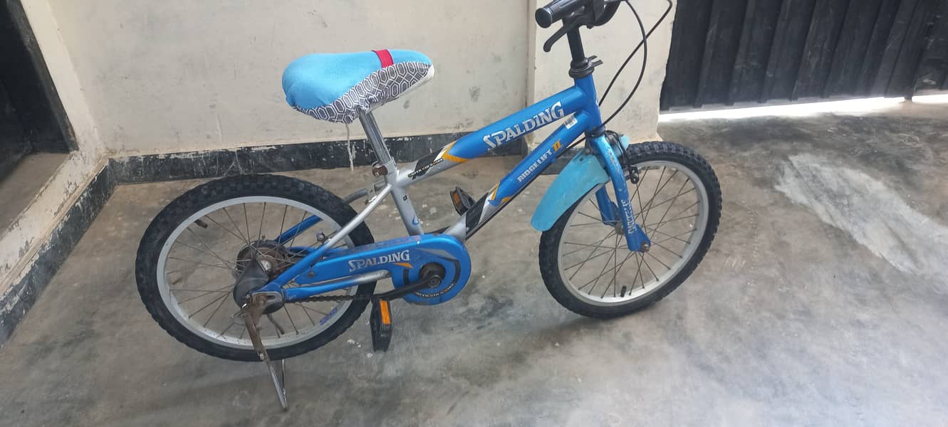 Splading imported Kid Cycle 5