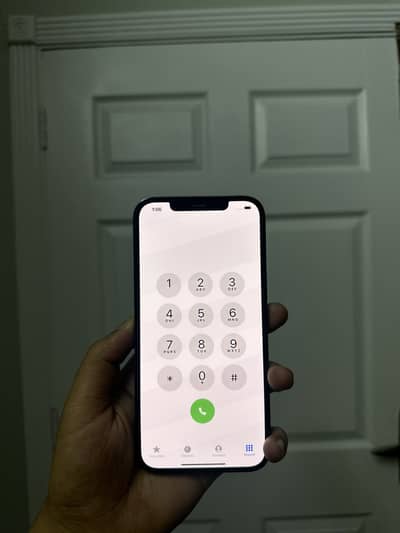 iPhone 12 Pro Max pta