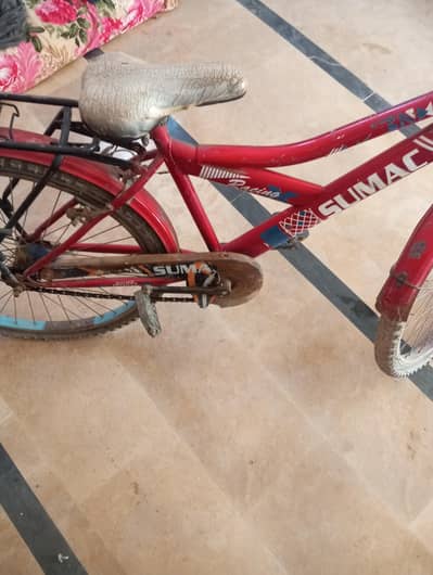Sonic bicycle