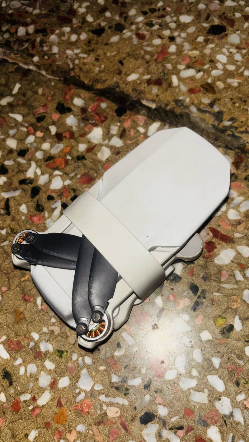 DJI Mini 2 1