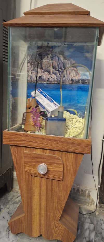 Fish aquarium