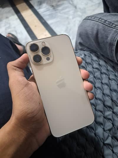 Apple iPhone 13 Pro Max