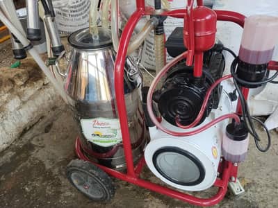 Turkish pozze Milk machine new condition