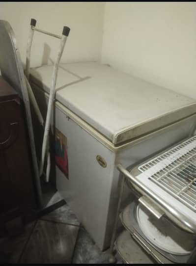 Single door freezer
