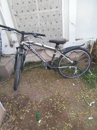 cycle for sale