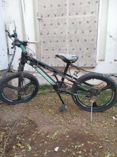 cycle for sale