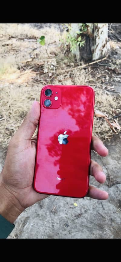 Apple iPhone 11