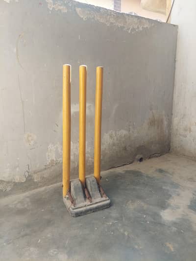Cricket wicket