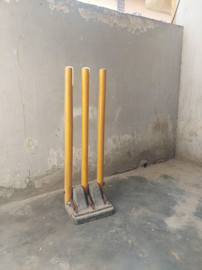 Premium Cricket wicket 0