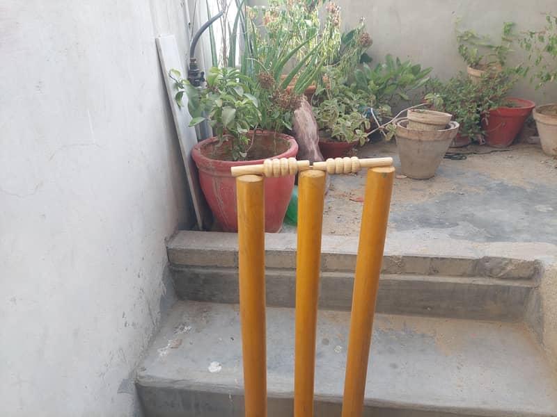 Premium Cricket wicket 2