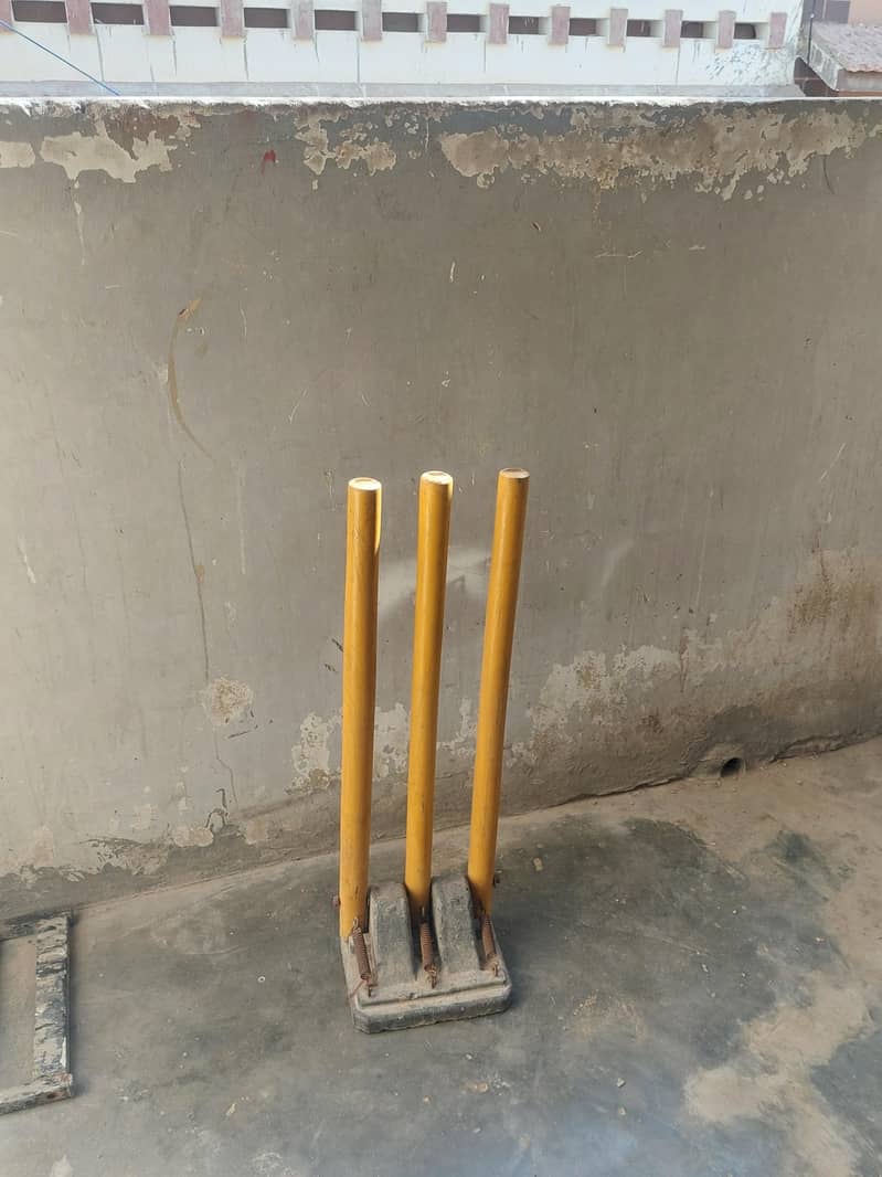 Premium Cricket wicket 3