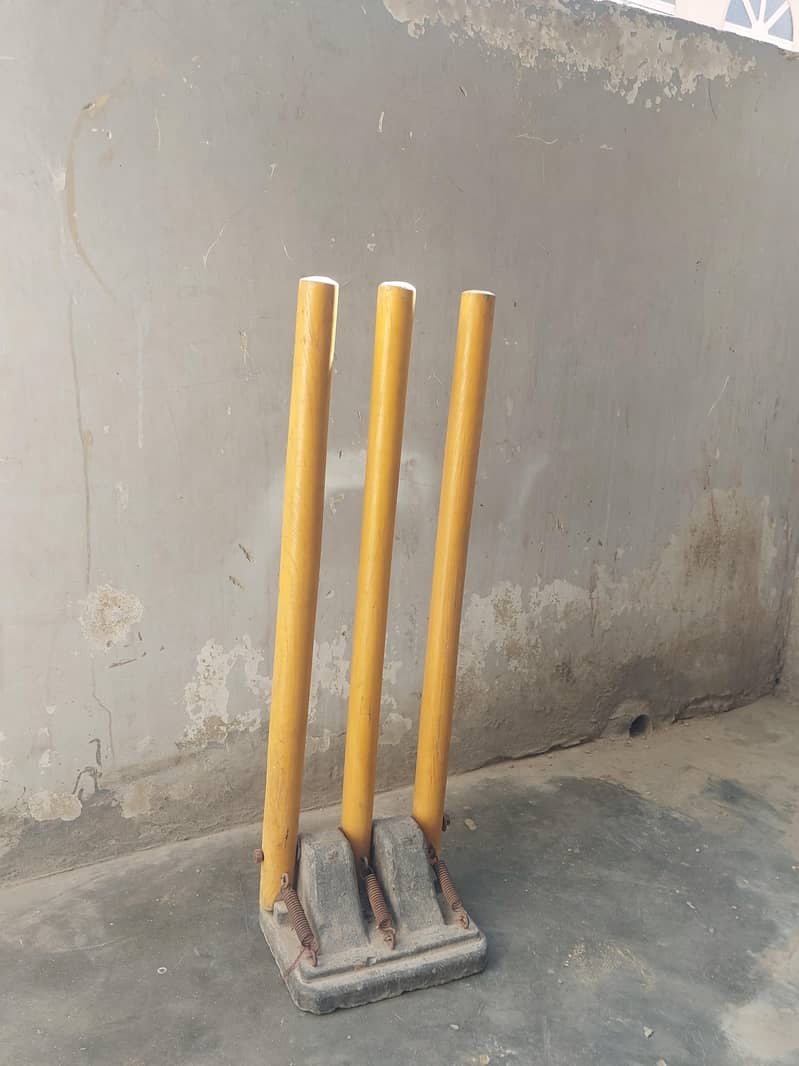 Premium Cricket wicket 4