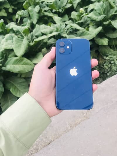Apple iPhone 12 bypass  Price 29000 Stroge 256GB