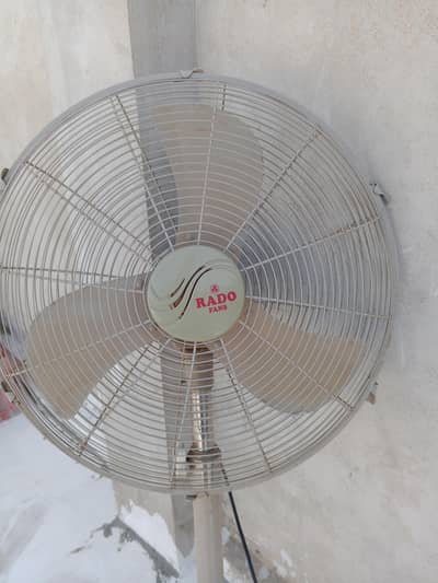 Rado DC pedestal fan