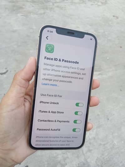 Apple iPhone 12 Pro jv