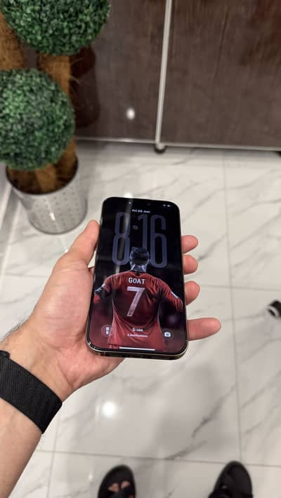 Apple iPhone 16 Pro Max