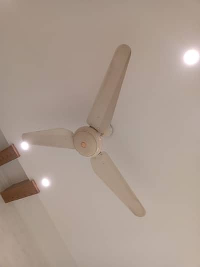 13 Fans for sale in good condition