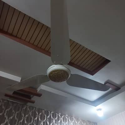 celling fan